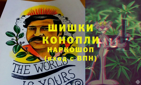 сатива Елизово