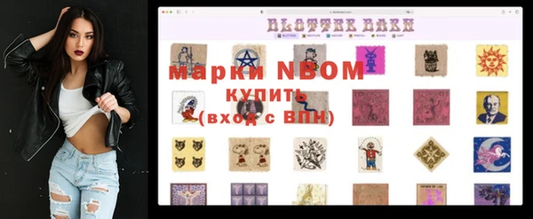 МДПВ Елабуга