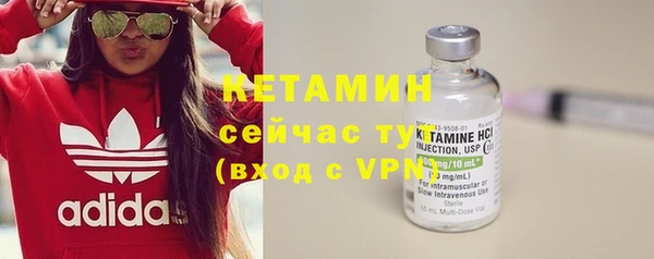 сатива Елизово
