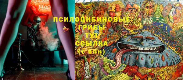 ПСИЛОЦИБИНОВЫЕ ГРИБЫ Дмитриев