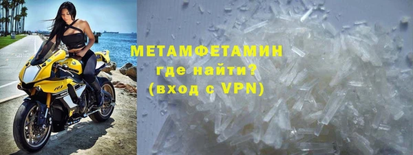 сатива Елизово