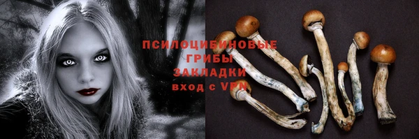 сатива Елизово