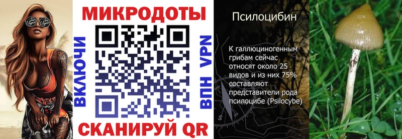 Купить где  Новоржев  Псилоцибиновые грибы ЛСД 
